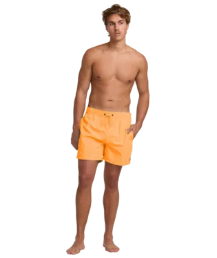 Billabong Mens Melon All Day Shorts