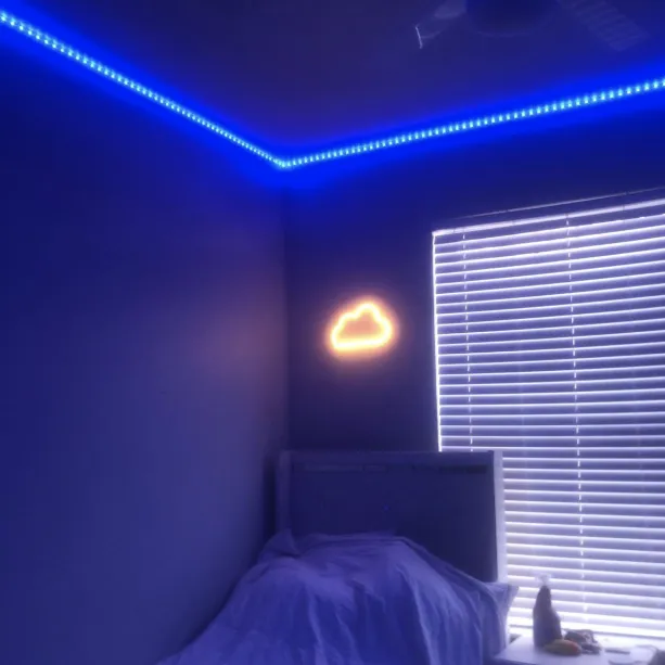 Edge LED Multicolor Lights