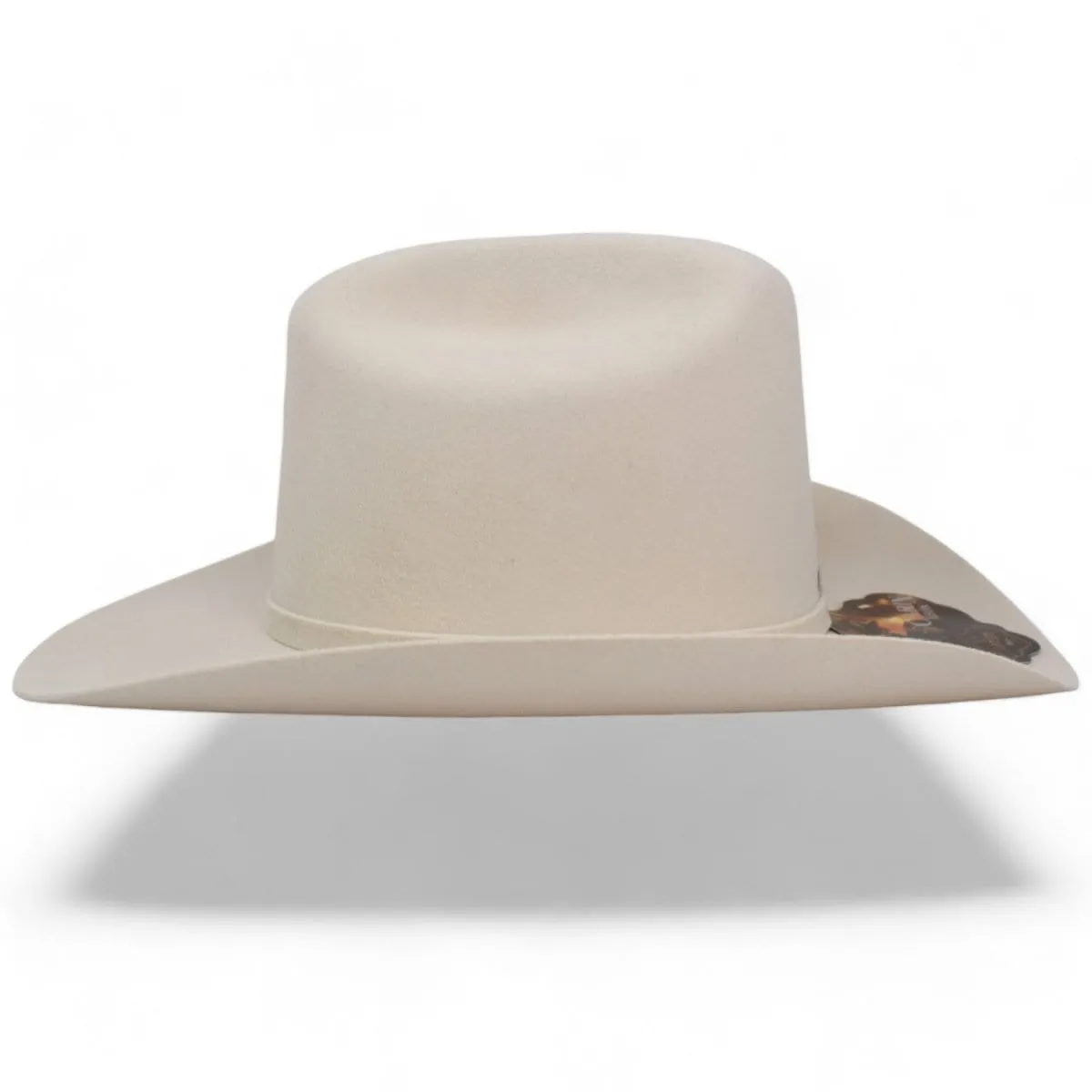 Official Carin Leon Cowboy Felt Hat with Silver Feather Bone