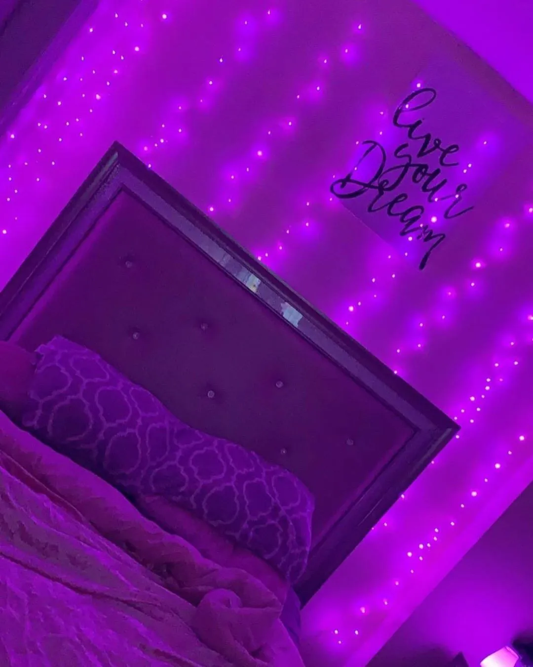 Purple LED Curtain Lights